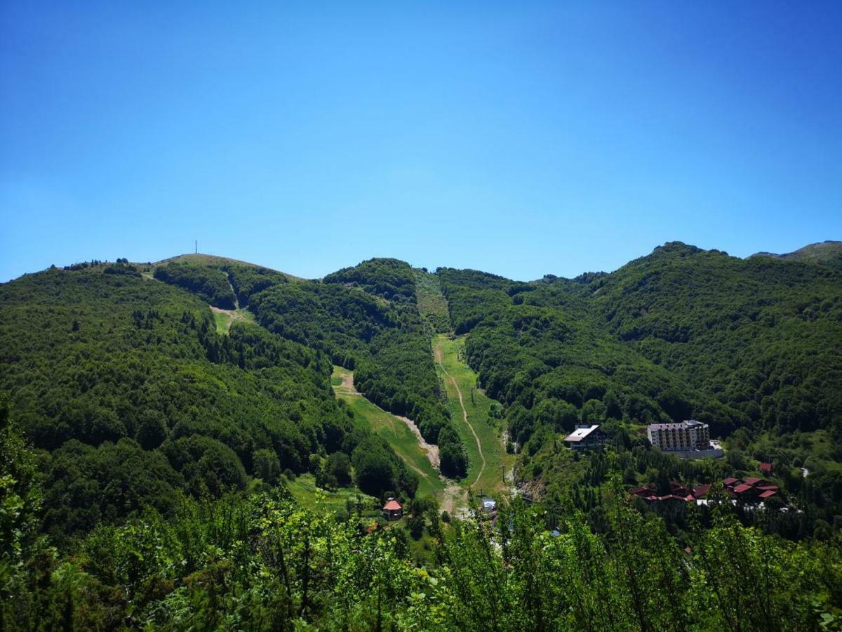 Mavrovo Forest Apartments Zewnętrze zdjęcie